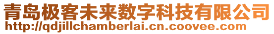 青島極客未來數(shù)字科技有限公司