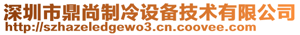 深圳市鼎尚制冷设备技术有限公司