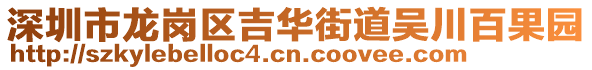 深圳市龍崗區(qū)吉華街道吳川百果園