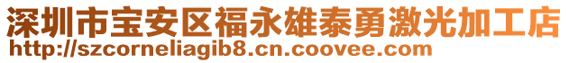 深圳市寶安區(qū)福永雄泰勇激光加工店