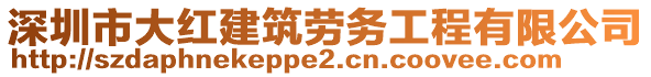 深圳市大紅建筑勞務(wù)工程有限公司