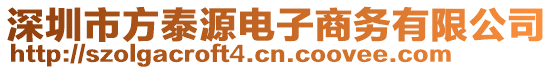 深圳市方泰源电子商务有限公司