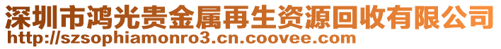 深圳市鴻光貴金屬再生資源回收有限公司