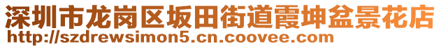 深圳市龍崗區(qū)坂田街道霞坤盆景花店