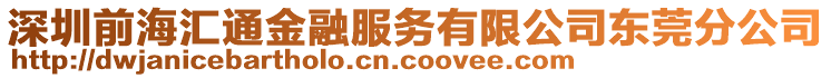 深圳前海匯通金融服務(wù)有限公司東莞分公司