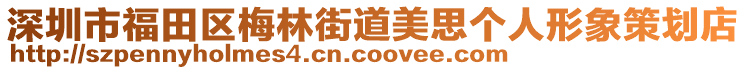 深圳市福田區(qū)梅林街道美思個人形象策劃店