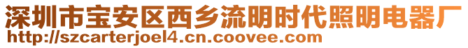 深圳市寶安區(qū)西鄉(xiāng)流明時(shí)代照明電器廠