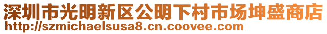 深圳市光明新區(qū)公明下村市場坤盛商店