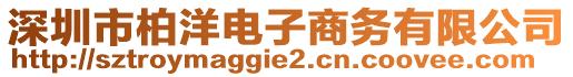 深圳市柏洋電子商務(wù)有限公司