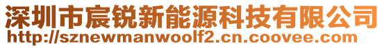 深圳市宸銳新能源科技有限公司