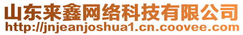 山東來鑫網(wǎng)絡(luò)科技有限公司