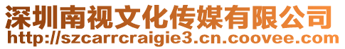深圳南視文化傳媒有限公司