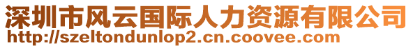 深圳市風云國際人力資源有限公司