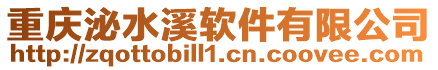 重慶泌水溪軟件有限公司
