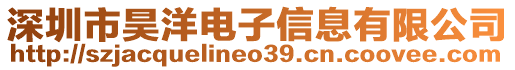 深圳市昊洋電子信息有限公司