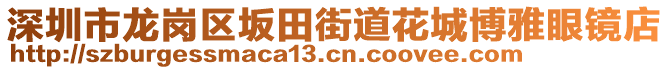 深圳市龍崗區(qū)坂田街道花城博雅眼鏡店