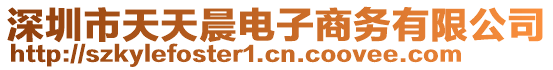 深圳市天天晨電子商務(wù)有限公司