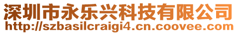 深圳市永樂興科技有限公司