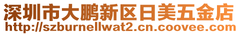 深圳市大鵬新區(qū)日美五金店