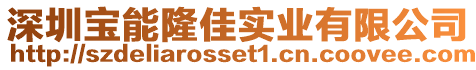 深圳寶能隆佳實(shí)業(yè)有限公司