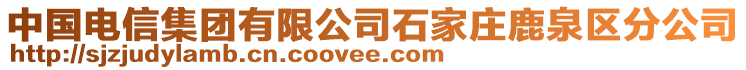 中國(guó)電信集團(tuán)有限公司石家莊鹿泉區(qū)分公司