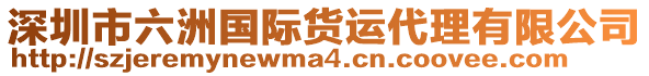 深圳市六洲國際貨運(yùn)代理有限公司