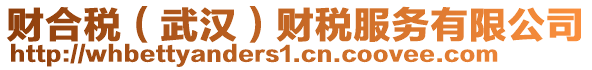 財(cái)合稅（武漢）財(cái)稅服務(wù)有限公司