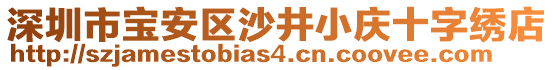 深圳市寶安區(qū)沙井小慶十字繡店