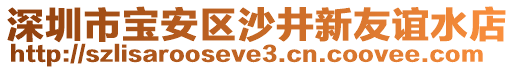 深圳市寶安區(qū)沙井新友誼水店