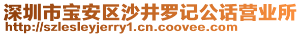 深圳市寶安區(qū)沙井羅記公話營(yíng)業(yè)所