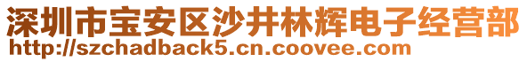 深圳市寶安區沙井林輝電子經營部