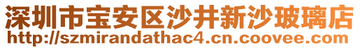 深圳市寶安區(qū)沙井新沙玻璃店