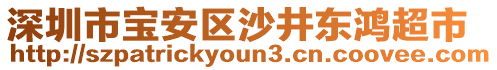 深圳市寶安區沙井東鴻超市