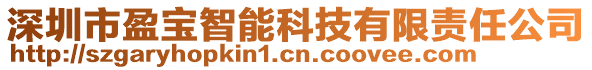 深圳市盈寶智能科技有限責(zé)任公司