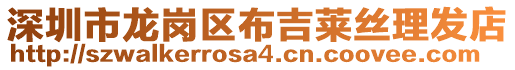 深圳市龍崗區(qū)布吉萊絲理發(fā)店