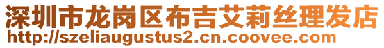 深圳市龍崗區(qū)布吉艾莉絲理發(fā)店