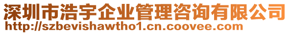 深圳市浩宇企業(yè)管理咨詢(xún)有限公司