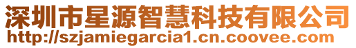 深圳市星源智慧科技有限公司