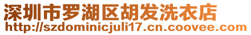 深圳市羅湖區(qū)胡發(fā)洗衣店