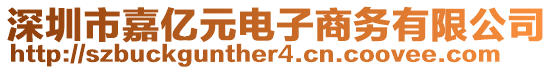 深圳市嘉億元電子商務(wù)有限公司