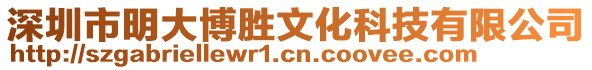 深圳市明大博勝文化科技有限公司