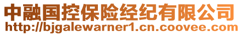 中融國控保險經(jīng)紀(jì)有限公司