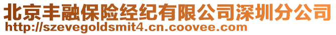 北京豐融保險經(jīng)紀有限公司深圳分公司