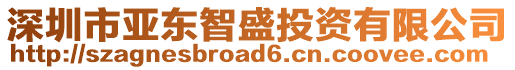 深圳市亞?wèn)|智盛投資有限公司