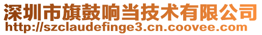 深圳市旗鼓响当技术有限公司