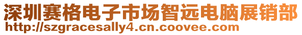 深圳赛格电子市场智远电脑展销部