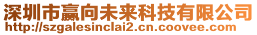 深圳市贏向未來科技有限公司