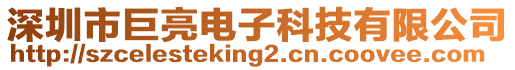 深圳市巨亮電子科技有限公司