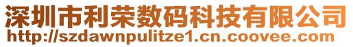 深圳市利榮數(shù)碼科技有限公司