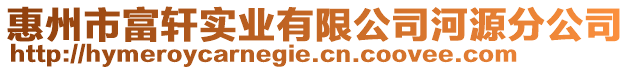 惠州市富軒實業有限公司河源分公司